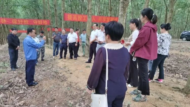 全國割膠冠軍張健給各單位學(xué)員做標(biāo)準(zhǔn)化膠園建設(shè)及割膠技術(shù)的經(jīng)驗介紹。.jpg