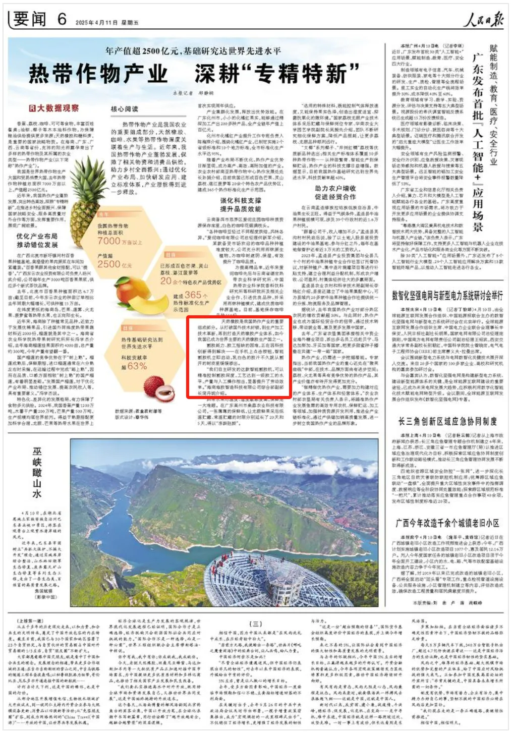 人民日?qǐng)?bào)報(bào)道海南橡膠研發(fā)成果：割膠耗力、膠工短缺的困難，正在因科技創(chuàng)新得到解決